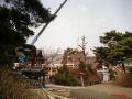 work way deck 000209.jpg